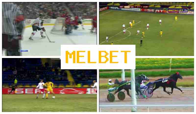 MELNET 🎾 Bookmaker Platform, Sports Wagering