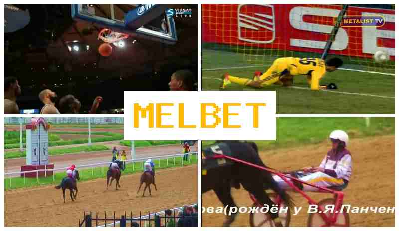 MEEL BET 🏀 Betting Company, Access Official Platform, Registration