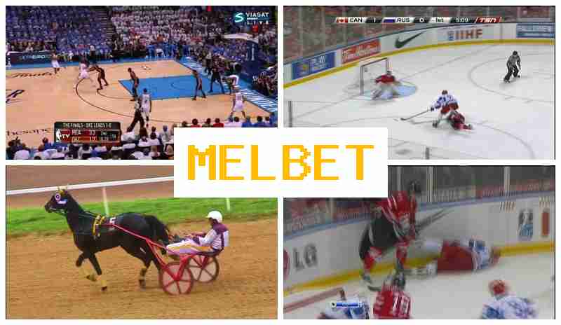 MELL BET █ Bookmaker Company, Official Site