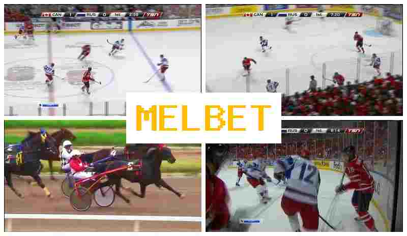 EML BET ▒ Online Sports Bets, Special Offers and Rewards