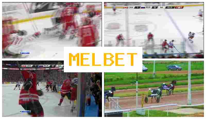 NEL BET ⚾ Trusted Sportsbook, Create Account, Access Official Site, Bet on Sports Events