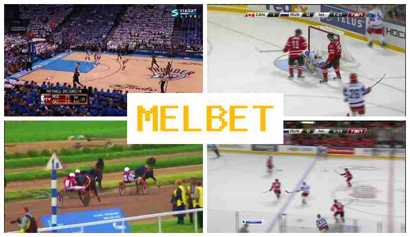 MRL BET 🎾 Official Bookmaker Platform, Wager on Sports Live, Free Bets and Rewards