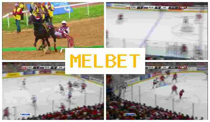 MSL BET ⚽ Betting on Sports Events, Special Offers and Rewards