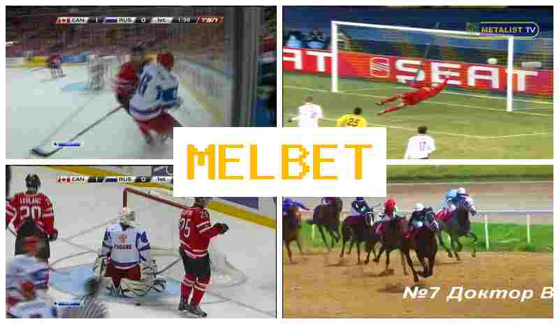 MEP BET 🔵 Betting Site Online, Access Official Site, Create Account, Wager on Sporting Events
