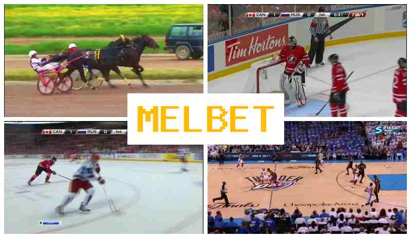 EMLBET 🔹 Live Sports Betting, New User Bonus, Official Platform of the Betting Firm