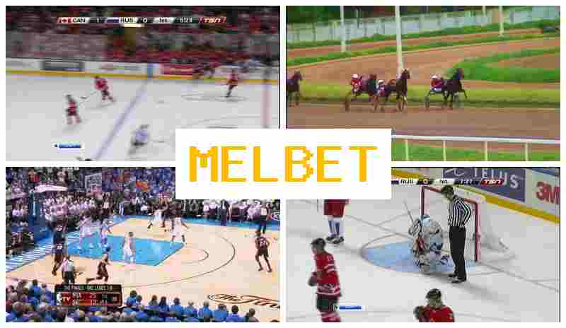 MELBTE 🎾 Bookmaker Platform, Live Event Betting