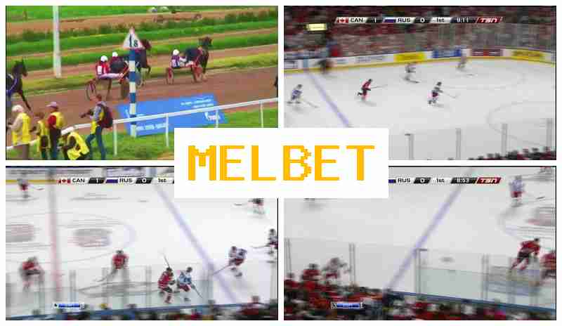 JELBET 🔹 Sports Betting, Promotions and Bonuses, Official Website