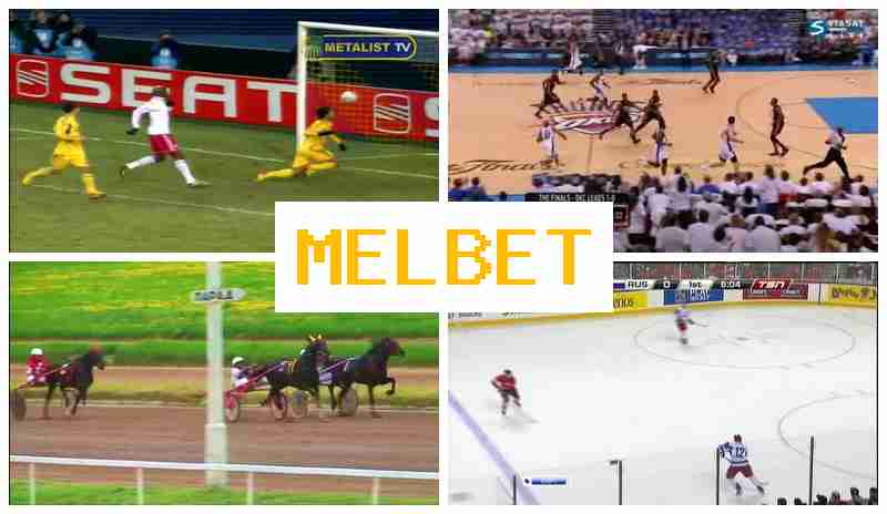 ,ELBET 💯 Online Bookmaker, Official Bookmaker Website