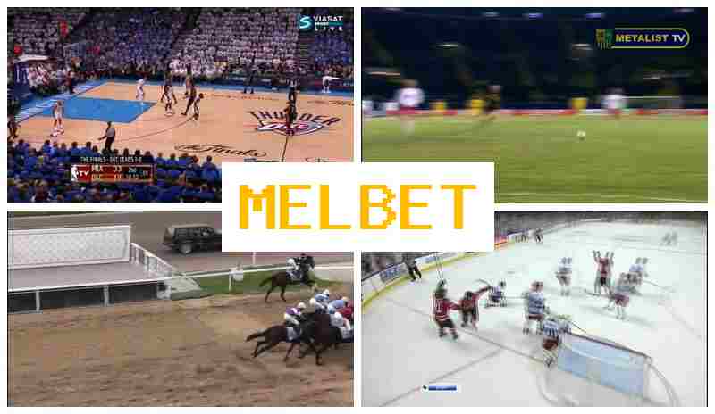 M4LBET 👍 Betting Platform, Official Site, Registration