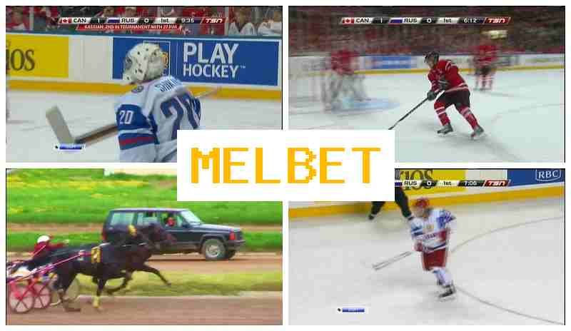 MEOBET ⚾ Live Sports Betting, Special Offers and Rewards, Official Bookmaker Platform