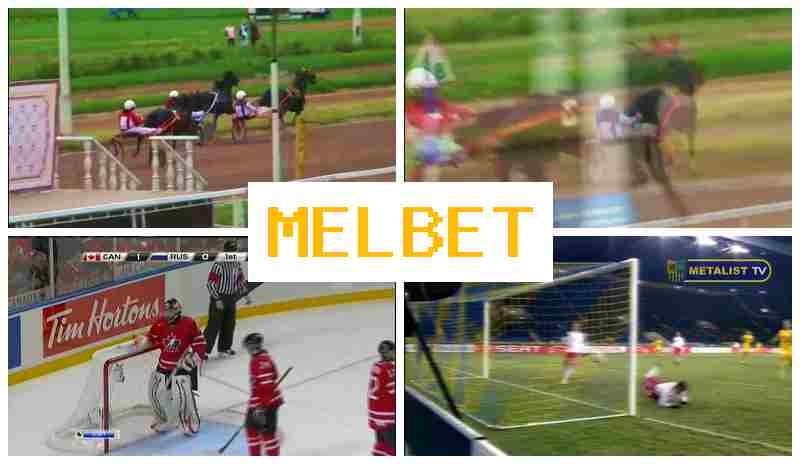 MELBEF ☘ Live Sports Betting, Free Bets and Bonuses, Official Bookmaker Platform