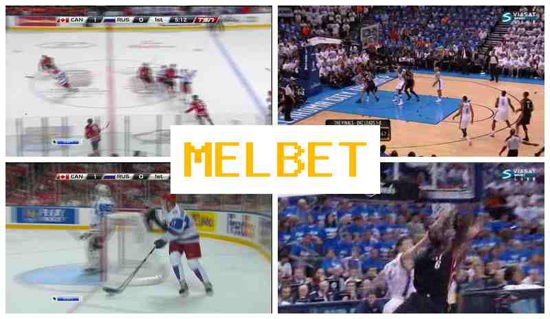 EL BET 🎾 Betting Site Online, Enter Official Platform, Registration, Wager on Sporting Events
