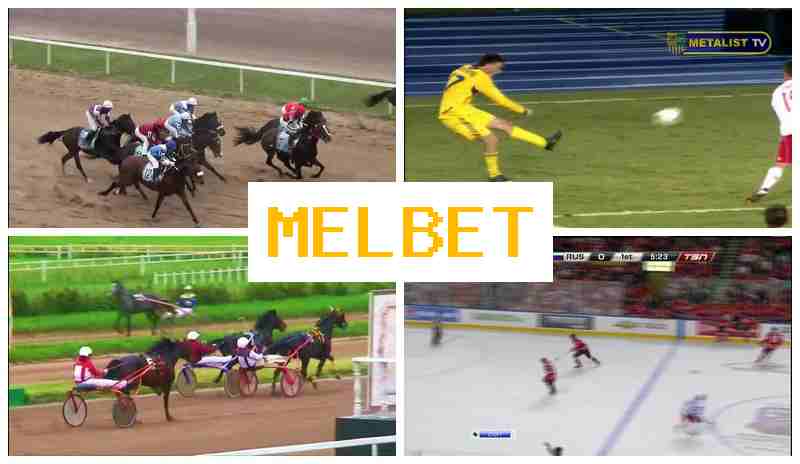 MELBT 🌟 Betting on Sporting Events, Registration Bonus, Official Site of the Betting Firm
