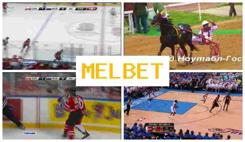 MEO BET ✔️ Betting Platform, Official Site, Promotions and Bonuses, Registration