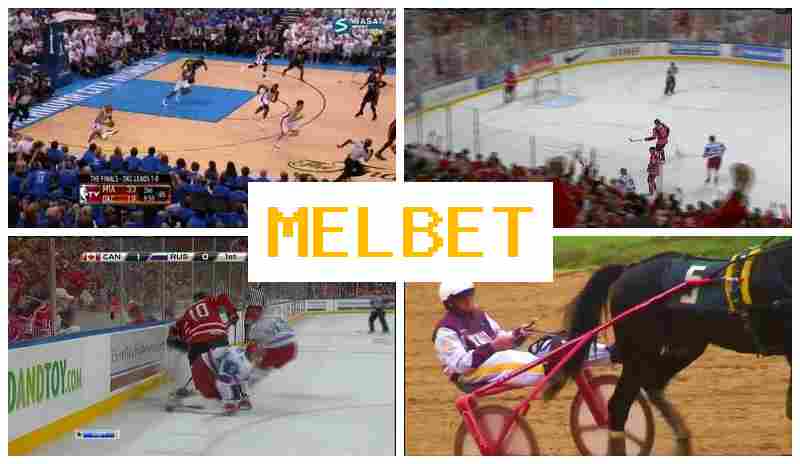 MEL BER 💴 Online Bookmaker, Login, Registration, Live Sports Betting