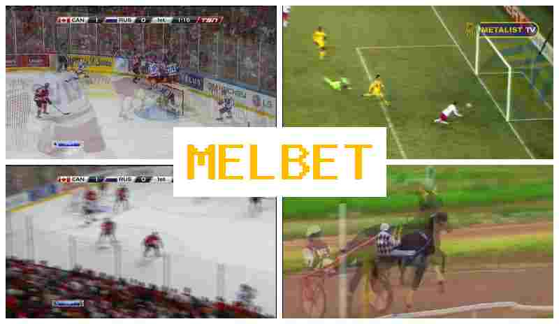 NELBET 🏀 Trusted Sportsbook Online, Create Account, Login, Wager Online