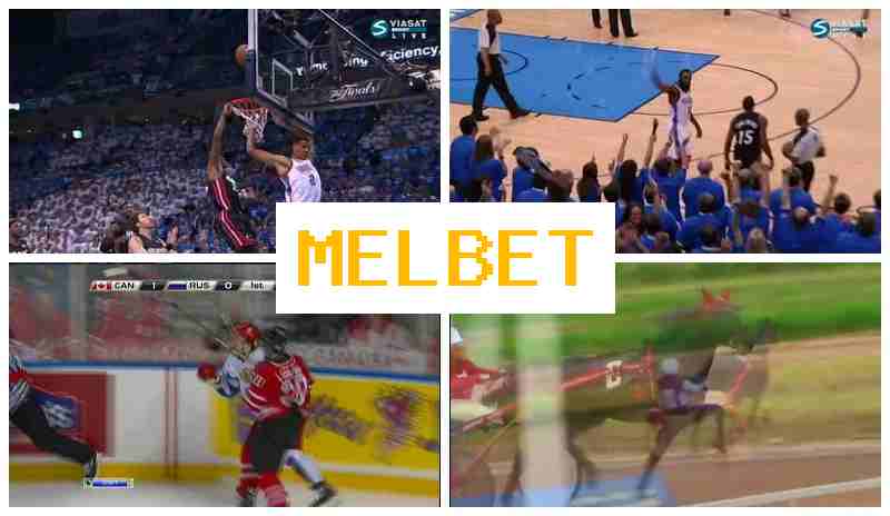 JELBET 🆓 Live Betting on Sports, Internet Betting offering Premium Odds