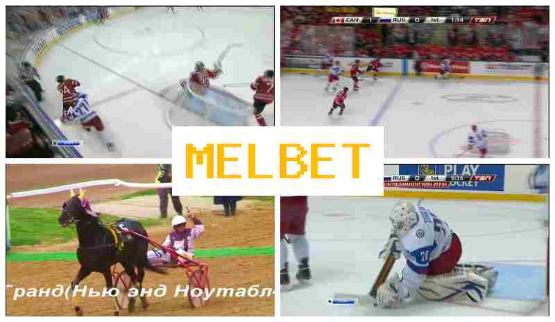 KELBET 🆕 Wager on Sports Events, Sign-Up Bonus, Official Portal of the Bookmaker