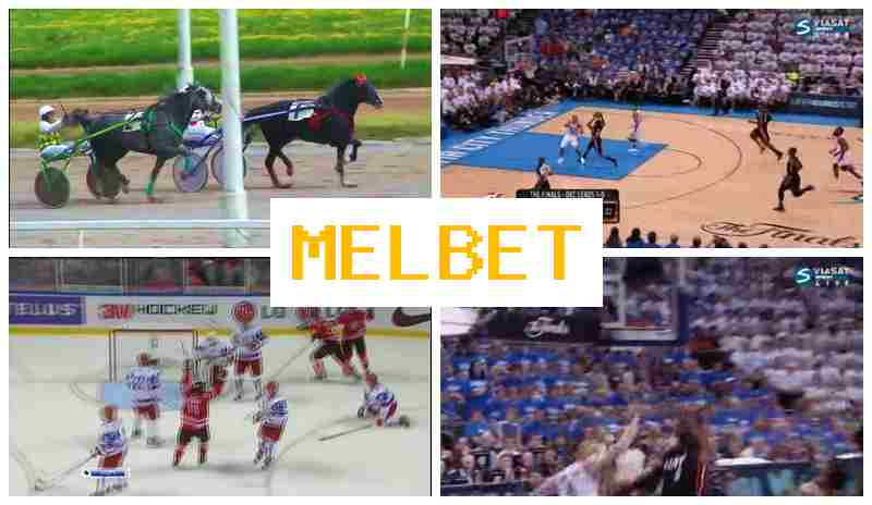 MSLBET 🔸 Sportsbook, Online, Sports Betting