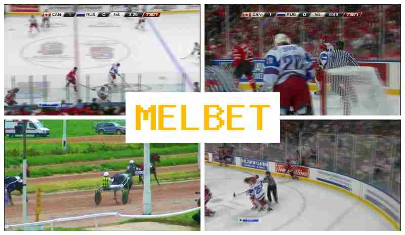 MEOBET ⚡ Sportsbook Online, Enter Official Site, Create Account, Bet on Sports