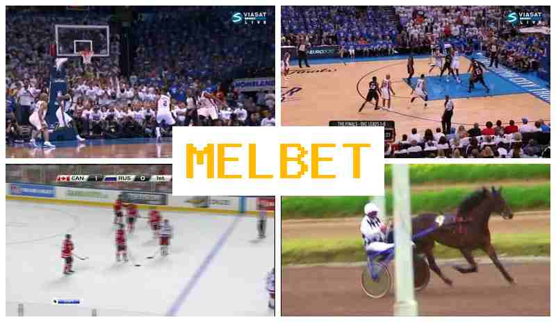 MELB3T 🏀 Betting Firm, Welcome Bonus, Verified Portal of the Betting Company