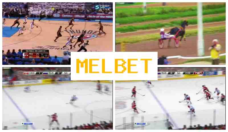 MELBDT 🏆 Online Sports Bets, Special Offers and Rewards, Official Site