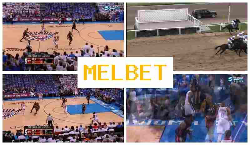 EL BET ✔️ Online Sports Bets, Special Offers and Rewards