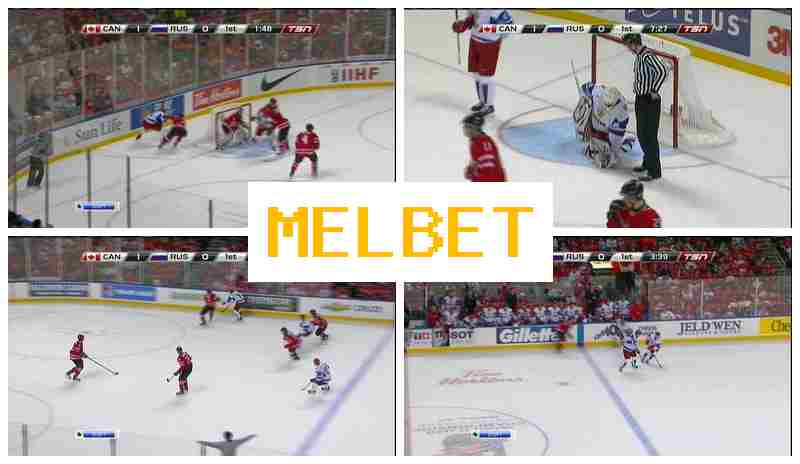NEL BET 🏀 Top Betting Company Online, Create Account, Access Official Site, Bet on Sports Events