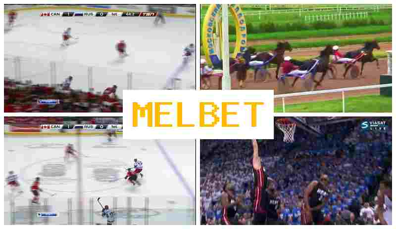 JEL BET 💶 Live Betting on Sports, Web Betting, Free Bets and Promotions, Authorized Sportsbook Site