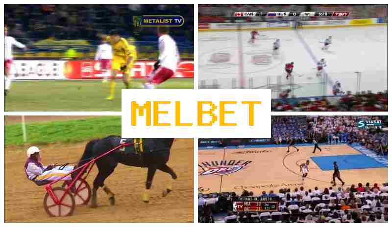 M4L BET 🆕 Sports Betting, Internet with Best Odds