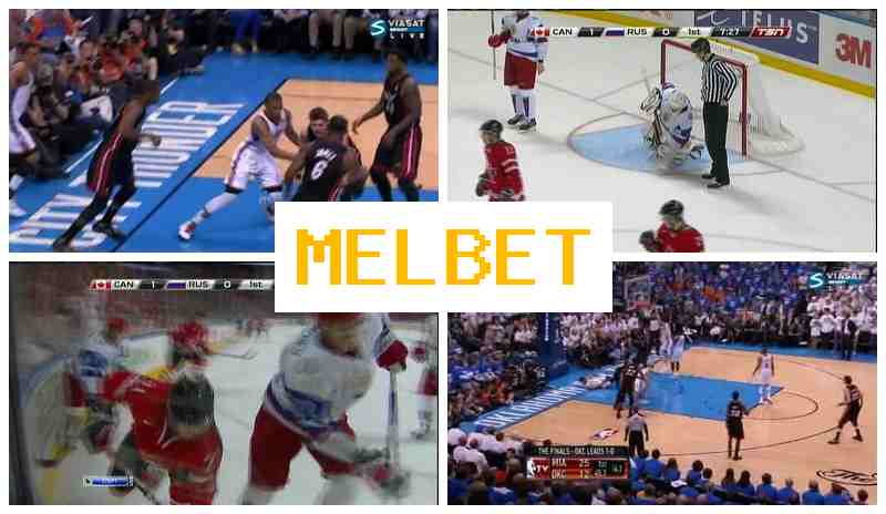 MEO BET 💵 Online Bookmaker, Access Official Site, Registration, Sports Betting
