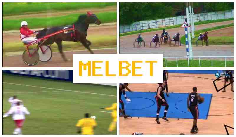 MEL VET ▒ Betting Site, Login, Create Account, Bet on Sports