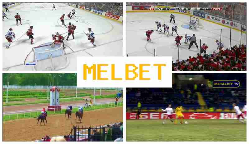 MEL NET 🎇 Betting Platform