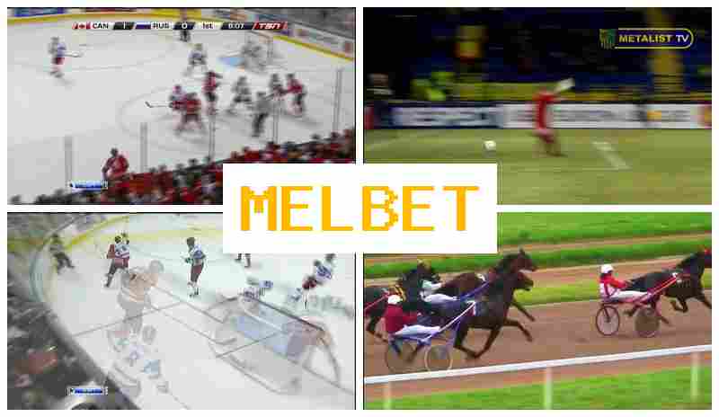 MEL BRT 👍 Live Sports Betting, Bonus on Registration, Official Platform
