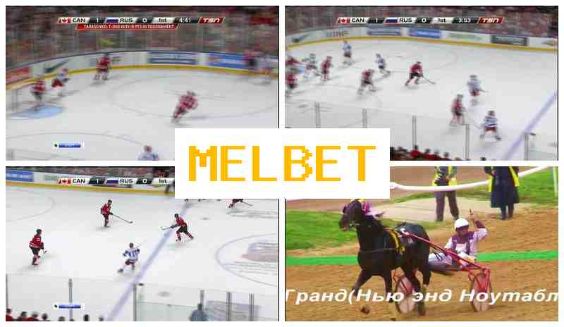 MELBWT 💴 Authorized Betting Site, Wager on Sports Live