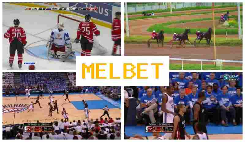 MELLBET 🎾 Official Bookmaker Platform, Bet on Sporting Events