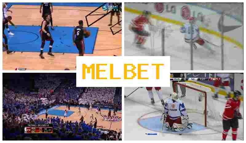 NELBET ⚽ Online Sportsbook, Online