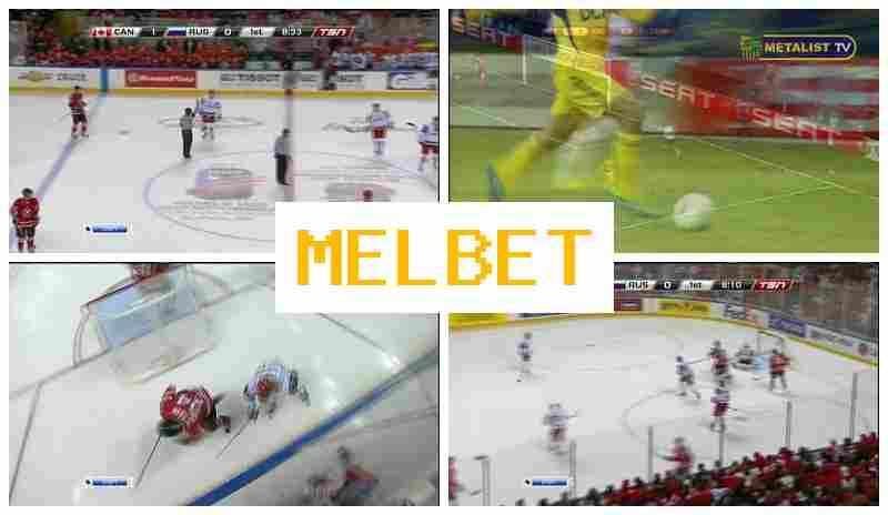 MEOBET █ Live Betting on Sports, Digital Sports Betting offering High Odds