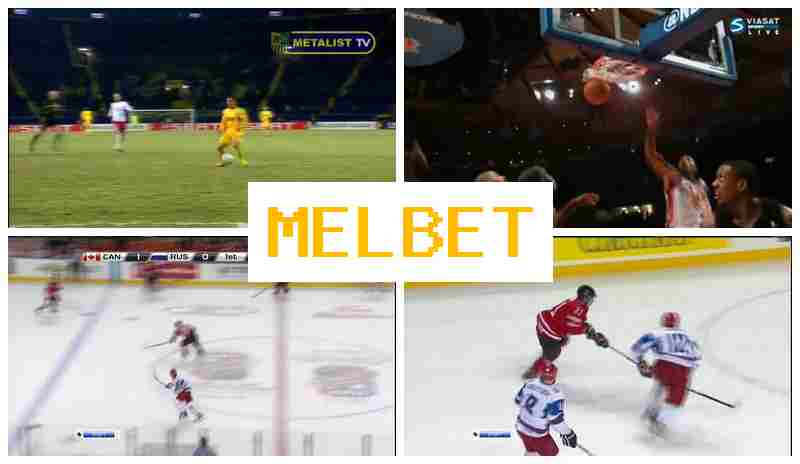 EL BET 💸 Betting on Sports Events, Free Bets and Bonuses