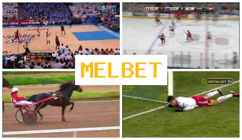 ML BET 🔷 Authorized Bookmaker Online, Official Website, Sign Up