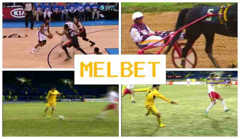 MLE BET ✔️ Online Sports Betting, First Deposit Offer, Official Site of the Bookmaker