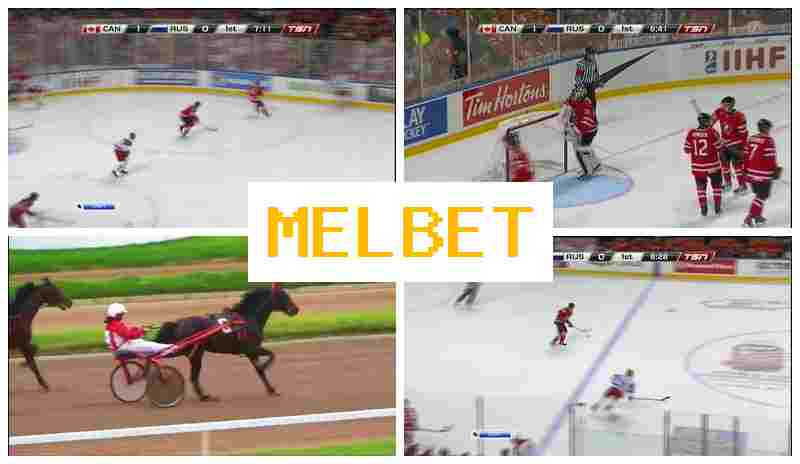 MEL BTE 💴 Bookmaker Online, Live Sports Betting