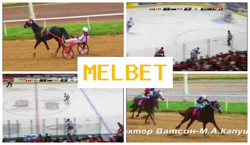 ,EL BET 💵 Wager on Sports Events, Sign-Up Bonus