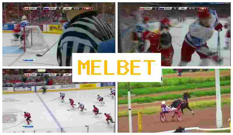 M4L BET 🏆 Place Bets on Sports, Bonuses and Free Bets, Official Bookmaker Site
