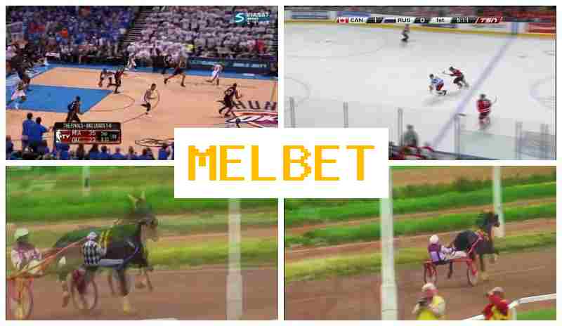 MRL BET 🔵 Live Sports Betting, Official Platform