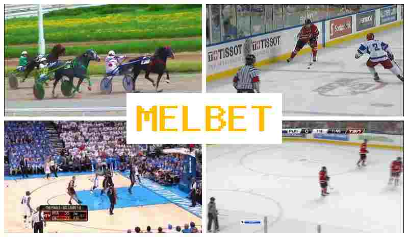 MEP BET █ Betting on Sports Events, Special Offers and Rewards, Official Site