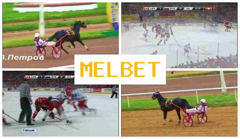 MEL VET 🆗 Bookmaker Company, Registration Bonus