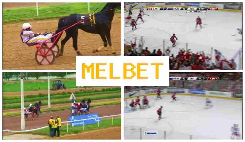 MEL BER 🔹 Sportsbook, Sign In, Sign Up, Bet on Sports