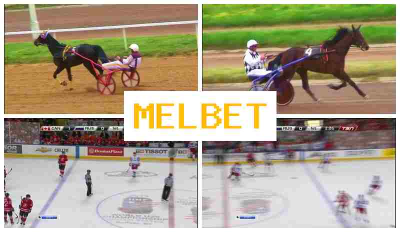 JELBET 🏆 Betting on Sporting Events, Official Platform