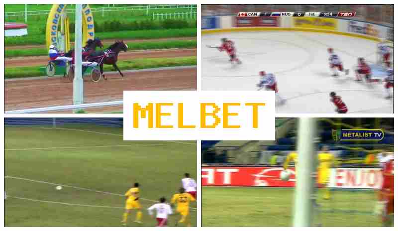 MSLBET ☑️ Place Bets on Sports, Bonuses and Free Bets, Official Bookmaker Site